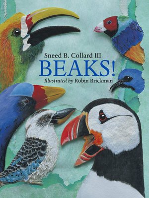cover image of Beaks!